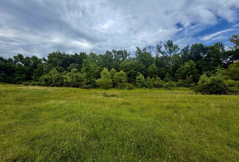 10 +/- ACRES EGYPT-CENTRAL RD, Unincorporated, Tennessee 38128, ,Land,For Sale,EGYPT-CENTRAL,10225177