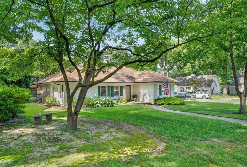 White exterior with green shutters, a brown shingle roof, and a mature front yard tree