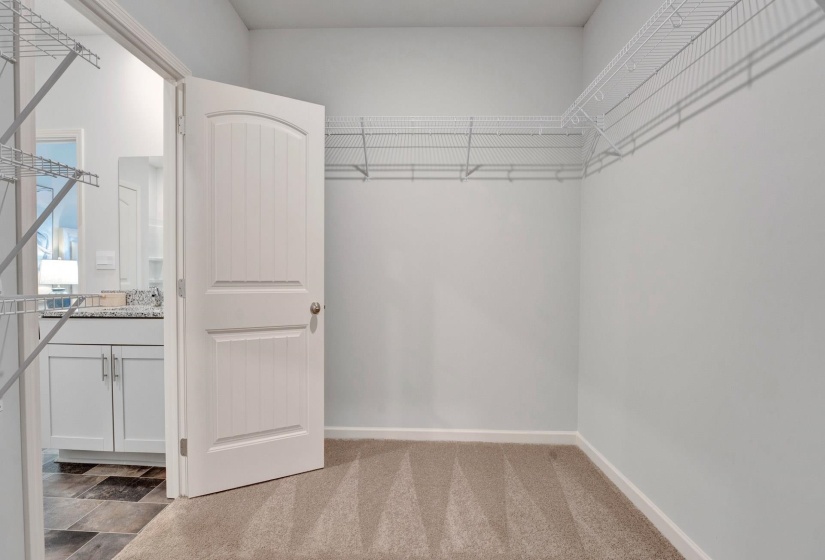 Spacious closet with light carpet