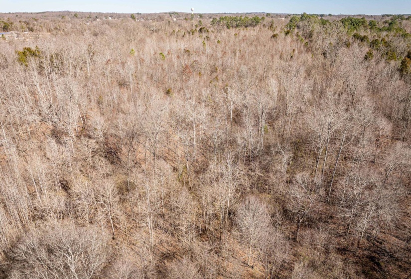 0 GUNN GARDENS PL, Parsons, Tennessee 38363, 0 , 0 ,0,Land,For Sale,GUNN GARDENS,0,10225249