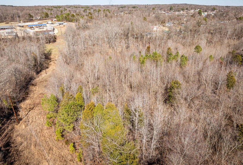 0 GUNN GARDENS PL, Parsons, Tennessee 38363, 0 , 0 ,0,Land,For Sale,GUNN GARDENS,0,10225249