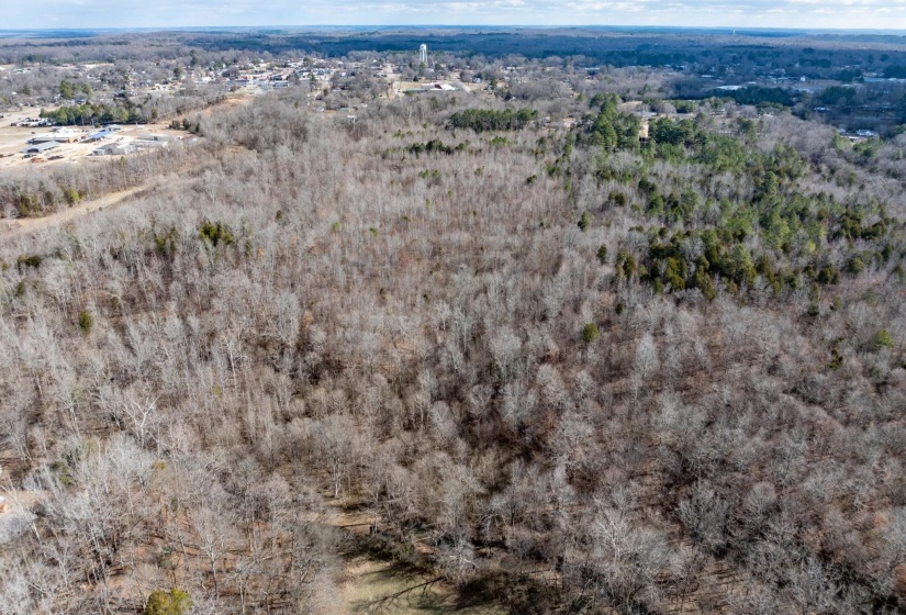 0 GUNN GARDENS PL, Parsons, Tennessee 38363, 0 , 0 ,0,Land,For Sale,GUNN GARDENS,0,10225249