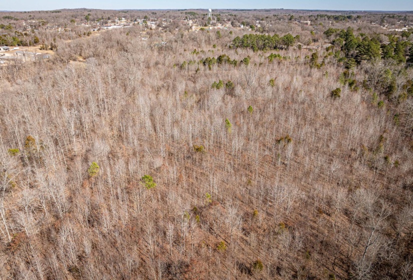 0 GUNN GARDENS PL, Parsons, Tennessee 38363, 0 , 0 ,0,Land,For Sale,GUNN GARDENS,0,10225249