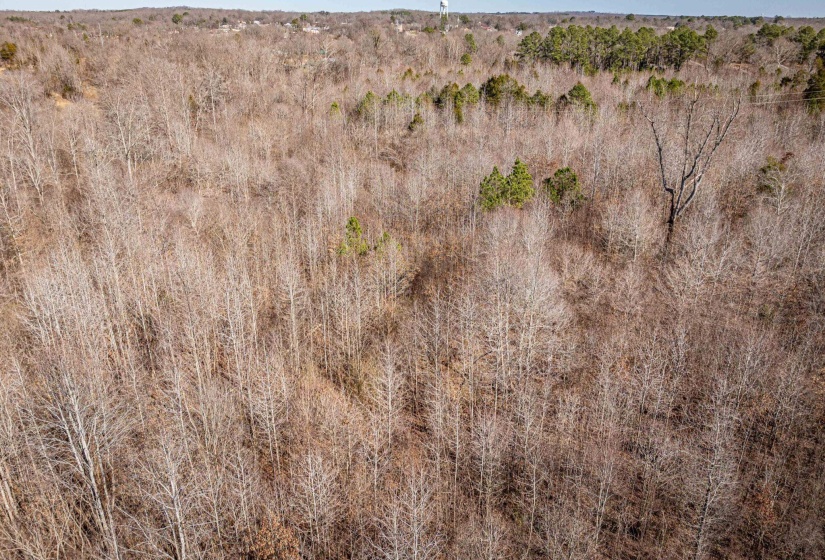 0 GUNN GARDENS PL, Parsons, Tennessee 38363, 0 , 0 ,0,Land,For Sale,GUNN GARDENS,0,10225249