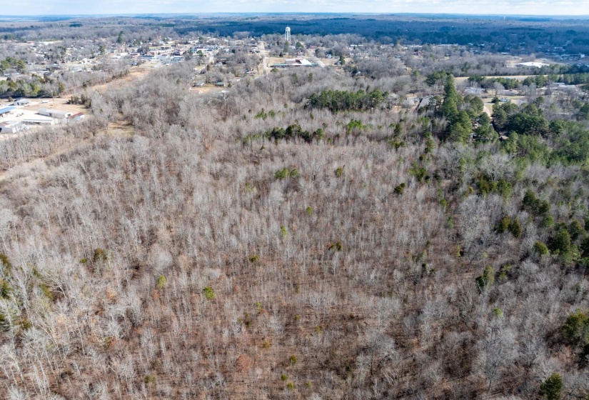 0 GUNN GARDENS PL, Parsons, Tennessee 38363, 0 , 0 ,0,Land,For Sale,GUNN GARDENS,0,10225249