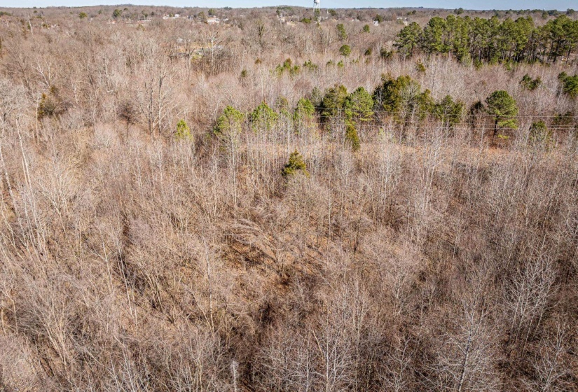 0 GUNN GARDENS PL, Parsons, Tennessee 38363, 0 , 0 ,0,Land,For Sale,GUNN GARDENS,0,10225249
