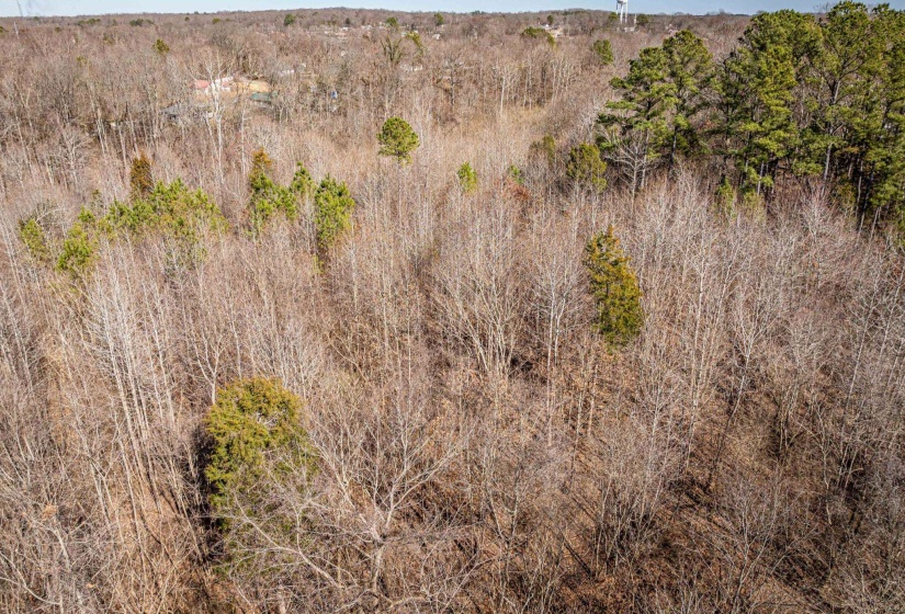 0 GUNN GARDENS PL, Parsons, Tennessee 38363, 0 , 0 ,0,Land,For Sale,GUNN GARDENS,0,10225249