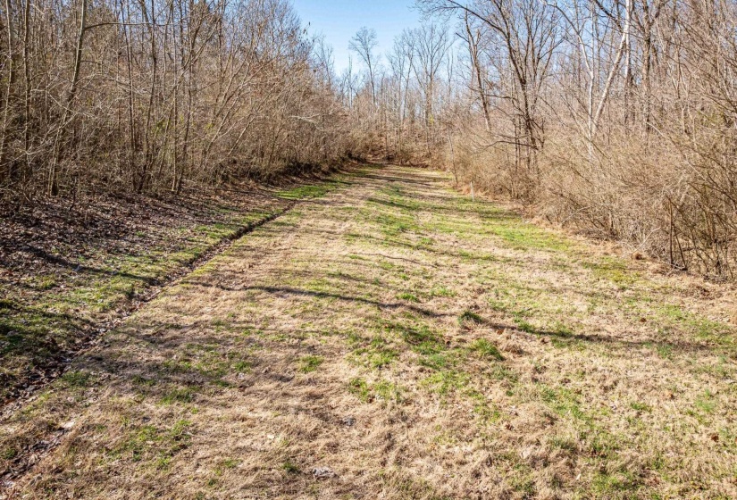 0 GUNN GARDENS PL, Parsons, Tennessee 38363, 0 , 0 ,0,Land,For Sale,GUNN GARDENS,0,10225249