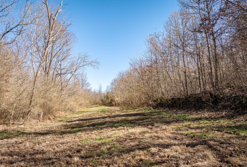 0 GUNN GARDENS PL, Parsons, Tennessee 38363, 0 , 0 ,0,Land,For Sale,GUNN GARDENS,0,10225249