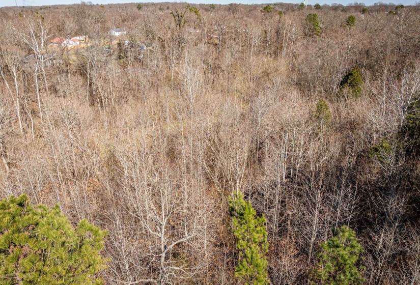 0 GUNN GARDENS PL, Parsons, Tennessee 38363, 0 , 0 ,0,Land,For Sale,GUNN GARDENS,0,10225249