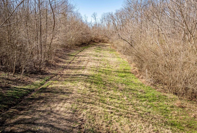 0 GUNN GARDENS PL, Parsons, Tennessee 38363, 0 , 0 ,0,Land,For Sale,GUNN GARDENS,0,10225249