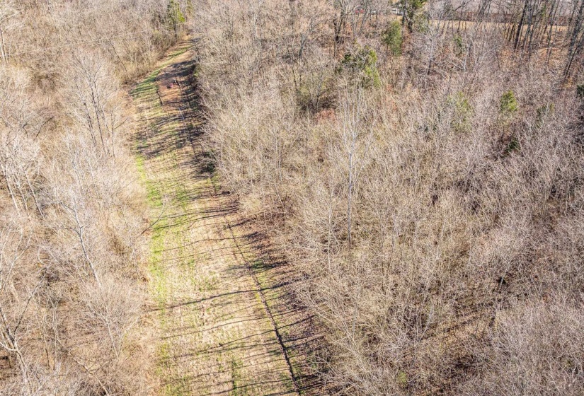 0 GUNN GARDENS PL, Parsons, Tennessee 38363, 0 , 0 ,0,Land,For Sale,GUNN GARDENS,0,10225249