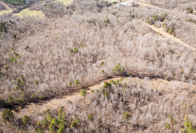 0 GUNN GARDENS PL, Parsons, Tennessee 38363, 0 , 0 ,0,Land,For Sale,GUNN GARDENS,0,10225249