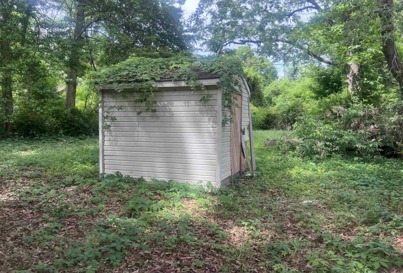 Outdoor storage shed with vinyl siding, covered in lush green vines