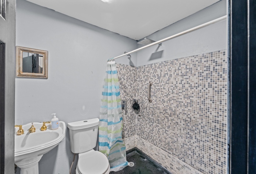 Bathroom featuring a pedestal sink with brass-finish fixtures, toilet, and a walk-in shower