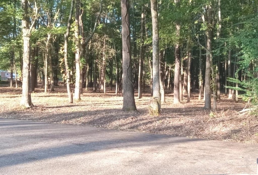 0 HICKS RD, Oakland, Tennessee 38060, 0 , 0 ,0,Land,For Sale,HICKS,0,10225289
