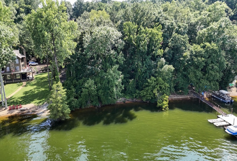 CR 254 RD, Iuka, Mississippi 38852, ,Land,For Sale,CR 254,10225318