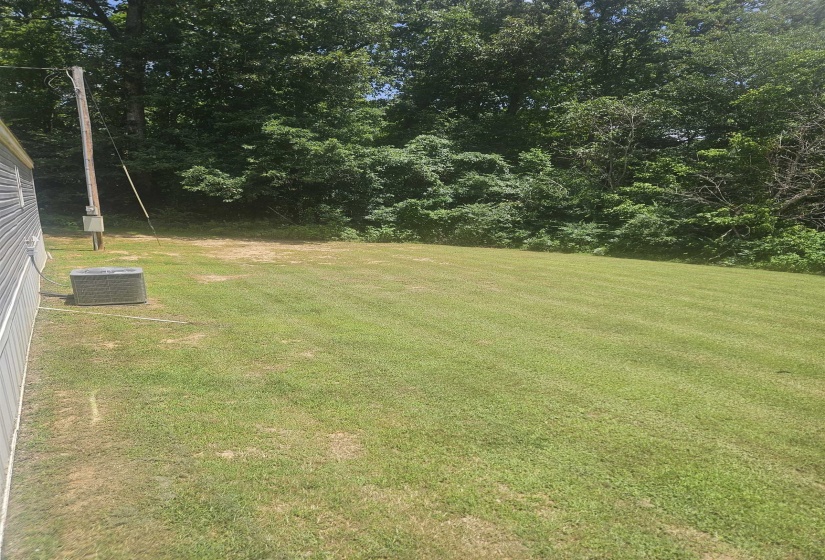 Expansive grassy yard with mature trees forming a natural backdrop