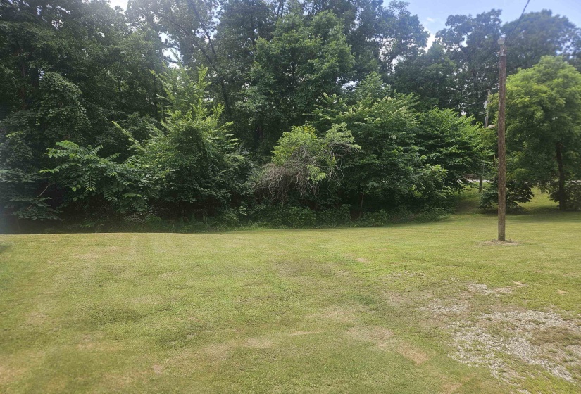 Expansive grassy area bordered by a dense tree line