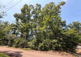 0 YELLOW CREEK LN, Counce, Tennessee 38326, 0 , 0 ,0,Land,For Sale,YELLOW CREEK,0,10225344 0 YELLOW CREEK LN, Counce, Tennessee 38326, 0 , 0 ,0,Land,For Sale,YELLOW CREEK,0,10225344