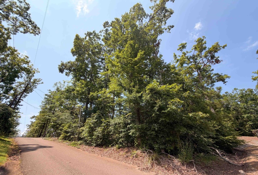 0 YELLOW CREEK LN, Counce, Tennessee 38326, 0 , 0 ,0,Land,For Sale,YELLOW CREEK,0,10225344