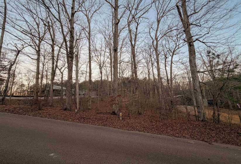 0 YELLOW CREEK LN, Counce, Tennessee 38326, 0 , 0 ,0,Land,For Sale,YELLOW CREEK,0,10225344