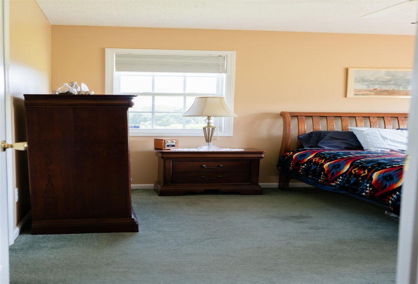 Neutral-toned walls complement plush green carpeting