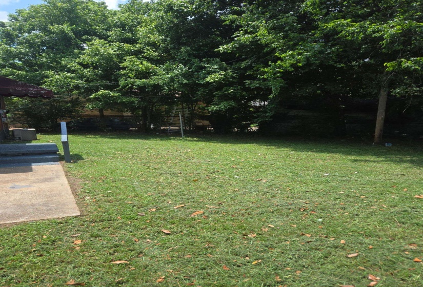 Expansive grassy yard with mature trees providing a natural canopy