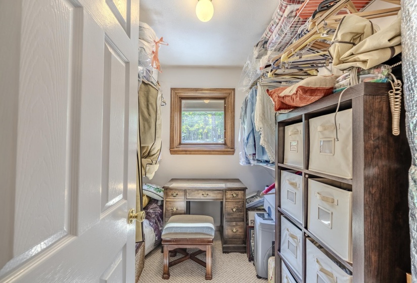 Walk-in closet with carpet flooring and window for natural light