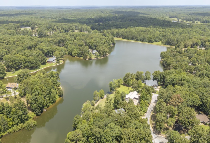Expansive lake surrounded by dense green forest