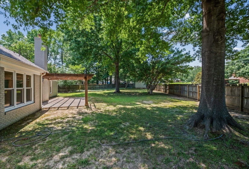 Expansive backyard featuring a wood pergola over a paver patio, a partial brick exterior with multiple windows, a prominent mature tree, and a wood privacy fence