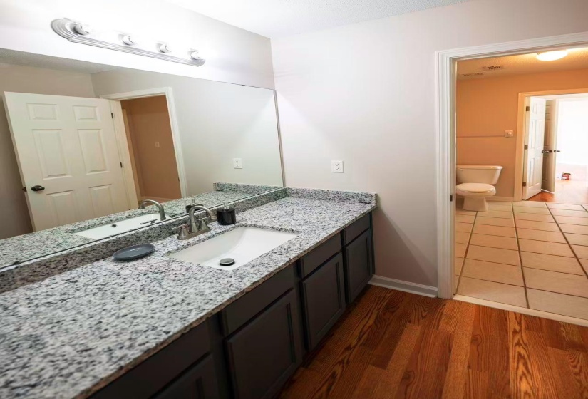 Vanity area featuring an expansive mirror, a four-light fixture, and wood-finish flooring