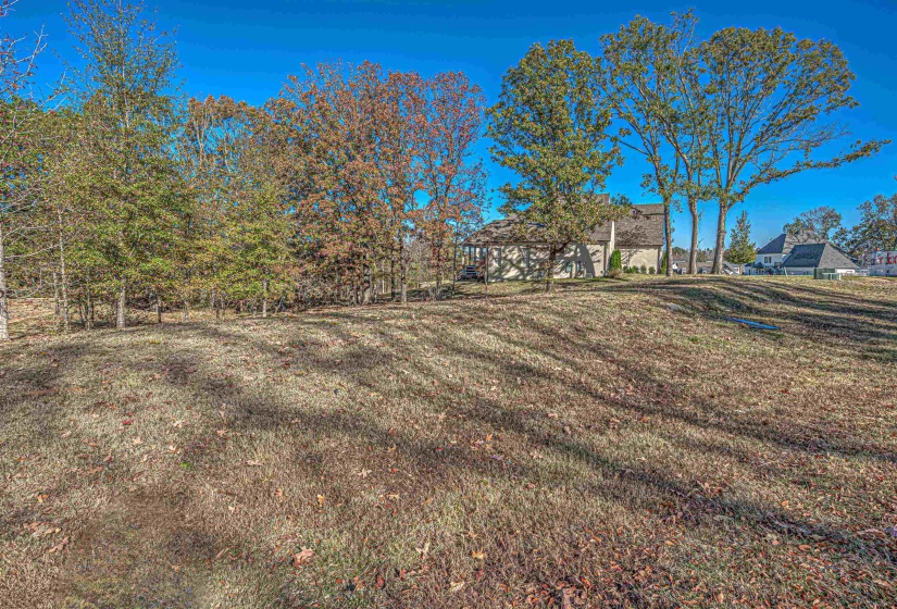 12668 BRAVO RD, Unincorporated, Tennessee 38017, ,Land,For Sale,BRAVO,10225370