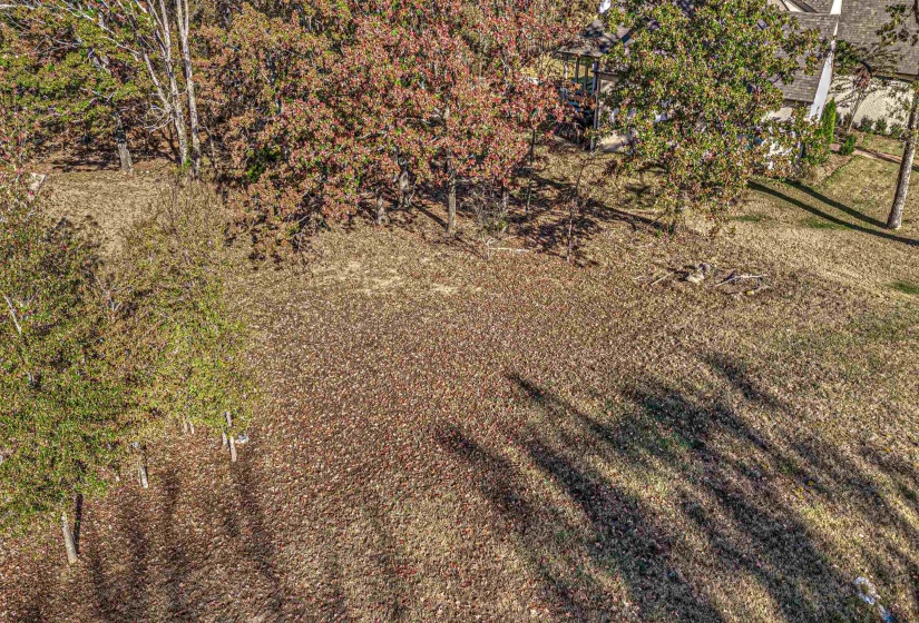 12668 BRAVO RD, Unincorporated, Tennessee 38017, ,Land,For Sale,BRAVO,10225370