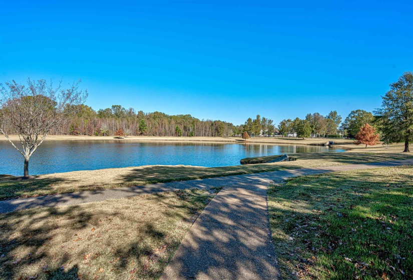 12668 BRAVO RD, Unincorporated, Tennessee 38017, ,Land,For Sale,BRAVO,10225370