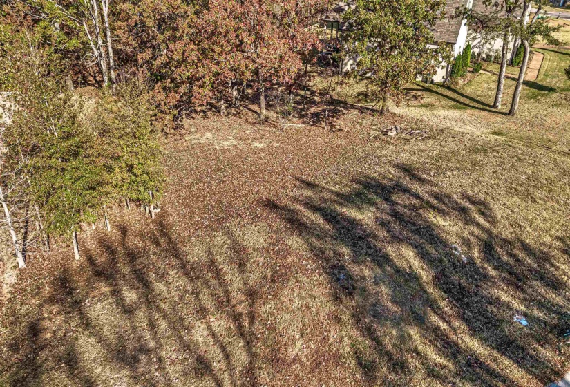 12668 BRAVO RD, Unincorporated, Tennessee 38017, ,Land,For Sale,BRAVO,10225370