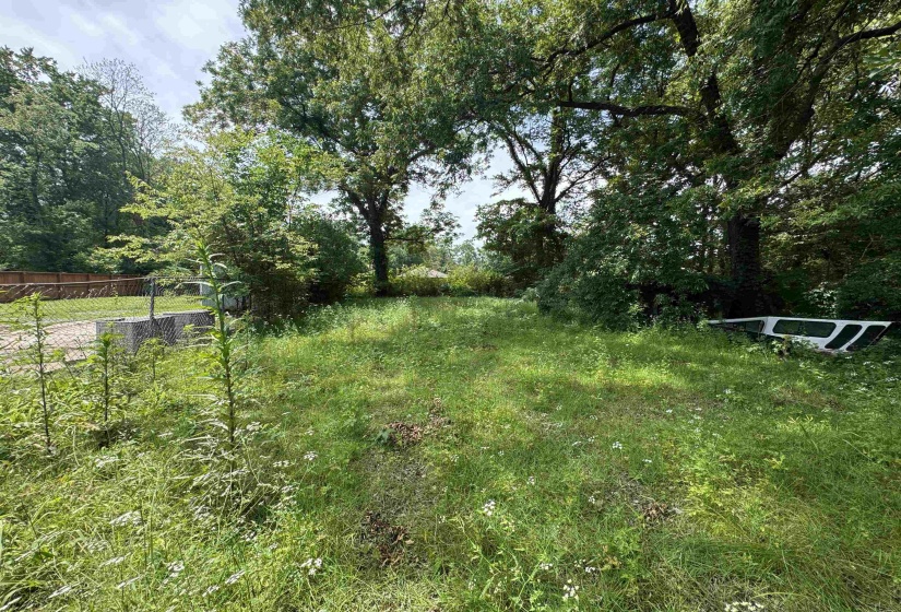 Expansive undeveloped lot featuring mature trees and a chain-link fence