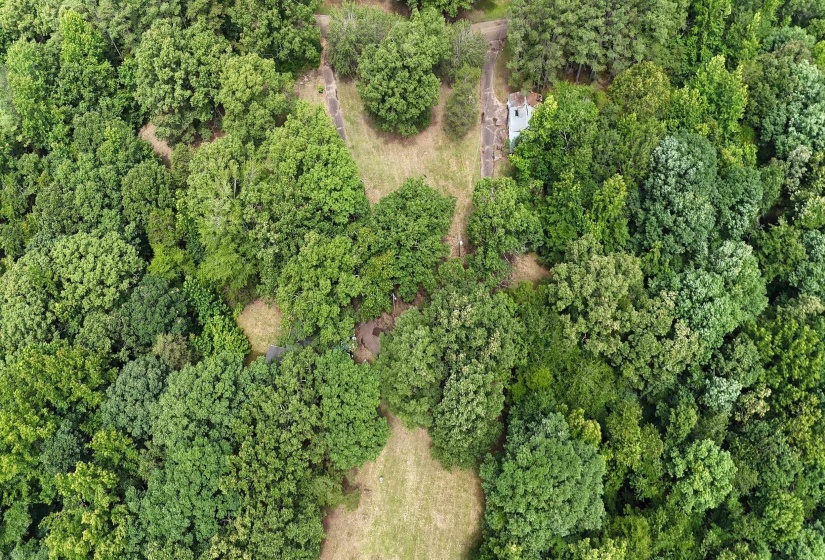 Wooded acreage featuring diverse mature trees and open clearings
