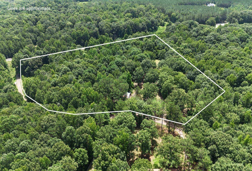 Expansive wooded parcel featuring mature trees and a defined boundary line