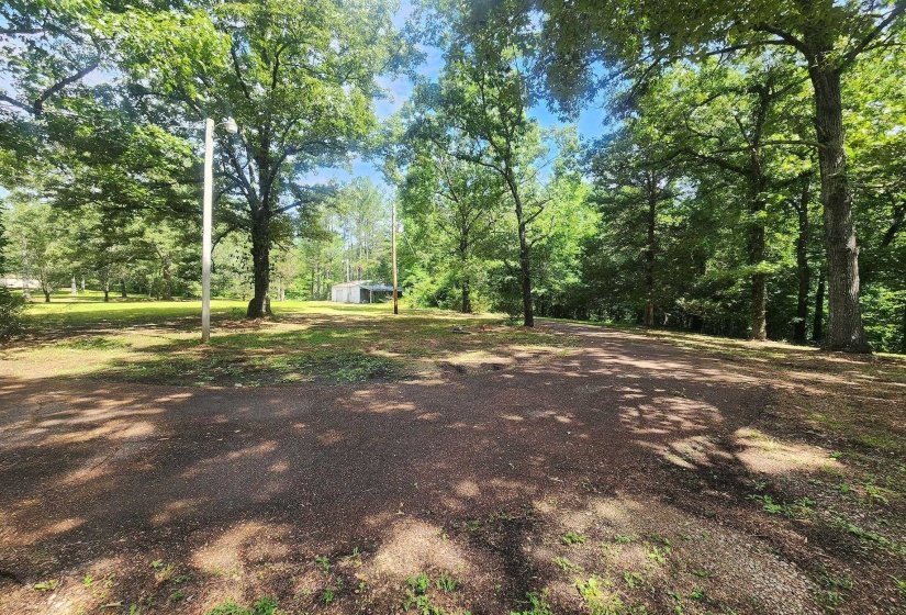 Expansive wooded lot featuring mature trees, a gravel driveway, and a metal outbuilding
