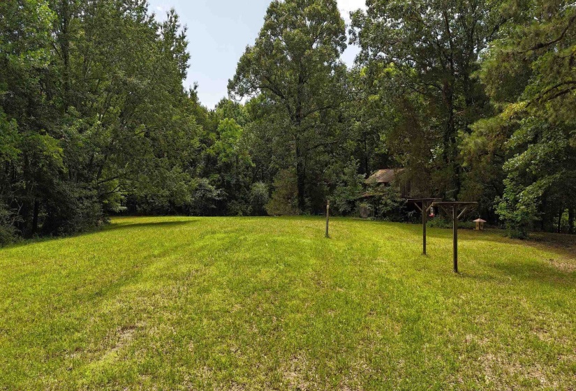 Expansive grassy area surrounded by abundant mature trees