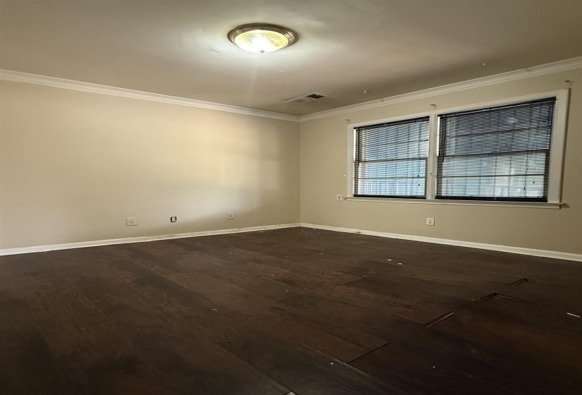 Room featuring dark wood-finish flooring, two large windows with blinds, a ceiling-mounted light fixture, and crown molding