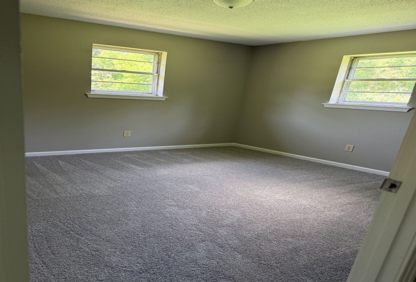 Carpeted room featuring two windows with white trim, neutral wall color, and a ceiling-mounted light fixture