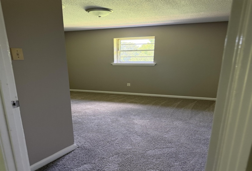Room featuring plush gray carpeting, neutral wall paint, and a single-pane window