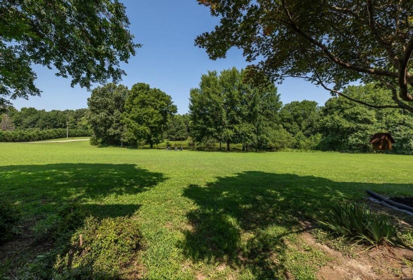 Expansive green lawn surrounded by mature trees, featuring a clear sky overhead