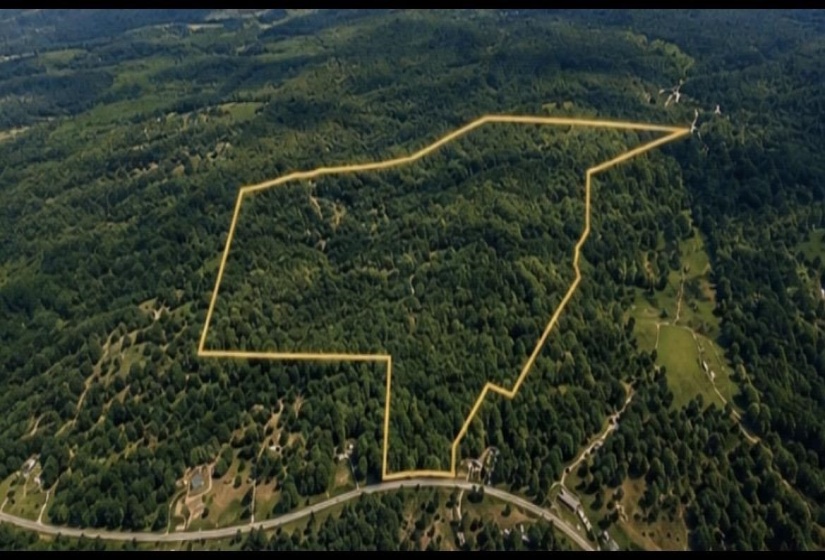 57 HWY, Ramer, Tennessee 38367, ,Land,For Sale,57,10225390
