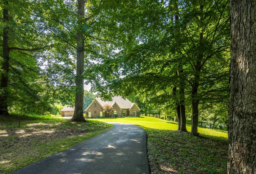 Expansive property featuring a paved driveway, mature trees, manicured lawn, and a brick exterior residence with a multi-gabled roof