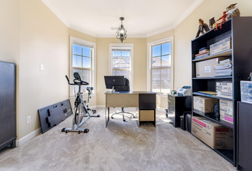 Room featuring bay windows with grid patterns, neutral-toned walls, and a textured carpet