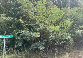 1362 BLACKISON CV, Memphis, Tennessee 38109, 0 , 0 ,0,Land,For Sale,BLACKISON,0,10225411