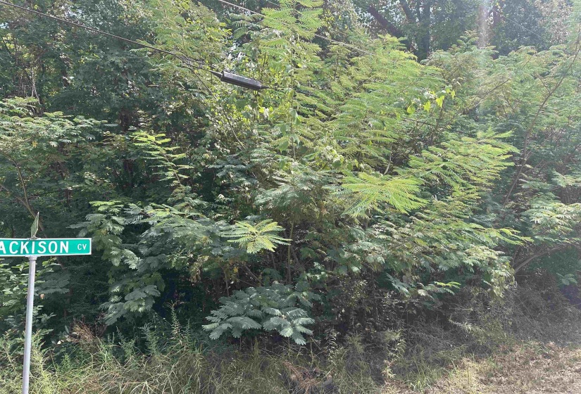 1362 BLACKISON CV, Memphis, Tennessee 38109, 0 , 0 ,0,Land,For Sale,BLACKISON,0,10225411
